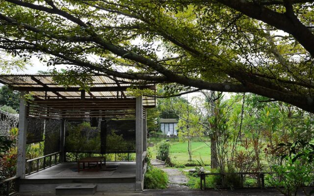 Love Pai Home