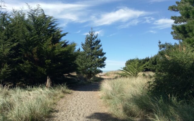 Leithfield Beach Holiday Park
