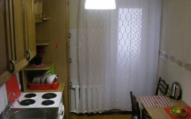 Cozy Apartment in the Quiet Center of Novosibirsk