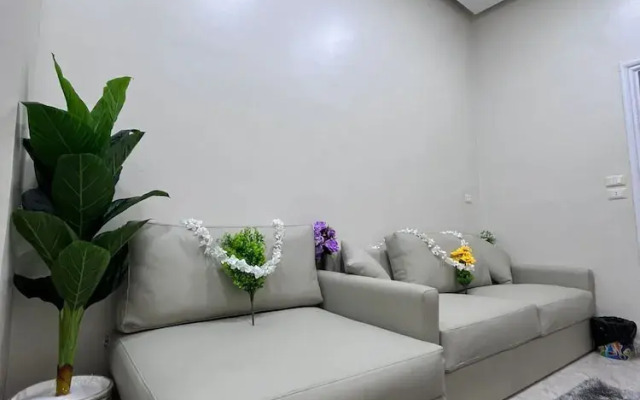 New royai studio