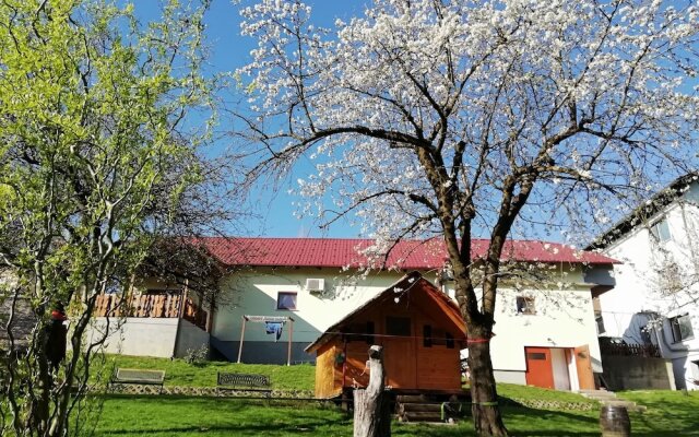 Apartmaji bungalovi i sotorisce Silva