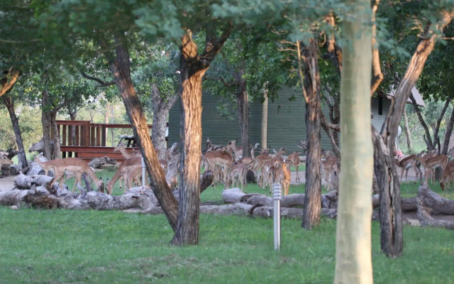Nkorho Bush Lodge