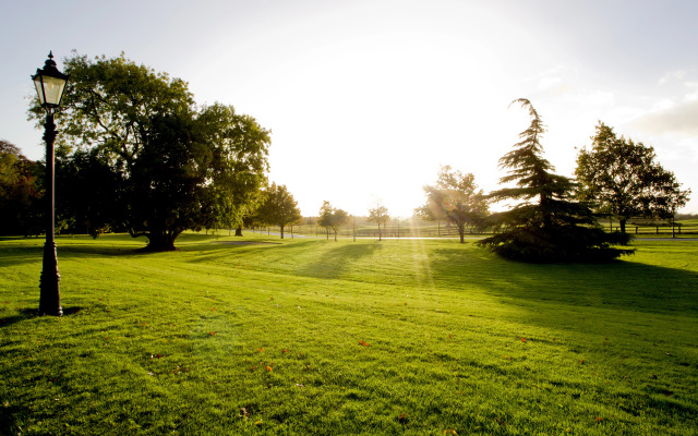 Moyvalley Hotel & Golf Resort