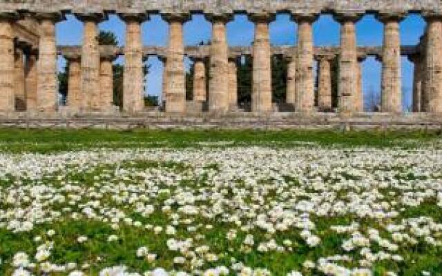 Il Giardino di Tonia