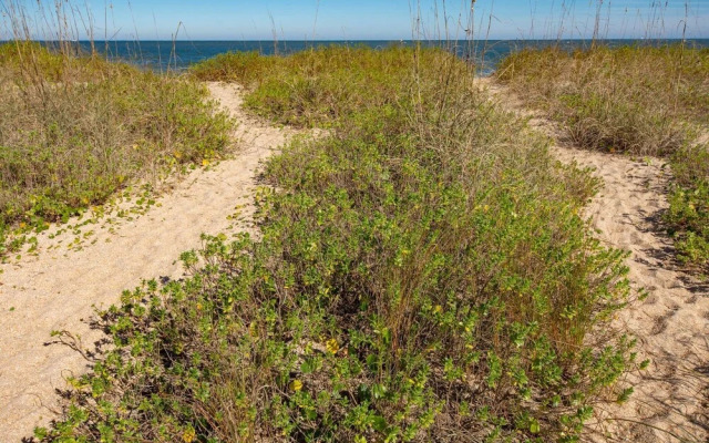 Beachcomber Penthouse