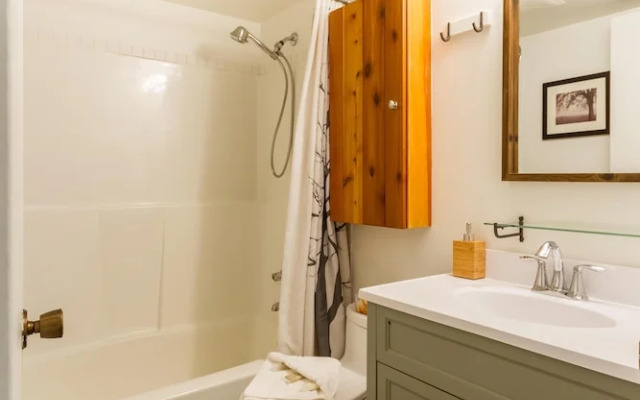 Cute and Cozy, Walk to Gondola Ski in Out