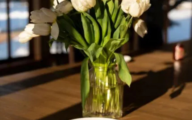 Резиденция Вьюхово