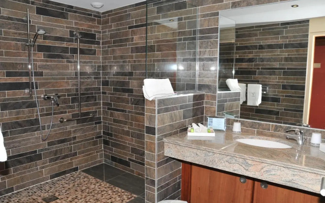 Hotel Les Saules, Parc & Spa