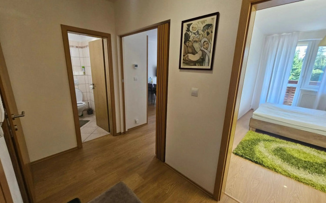 Apartman Patris 8