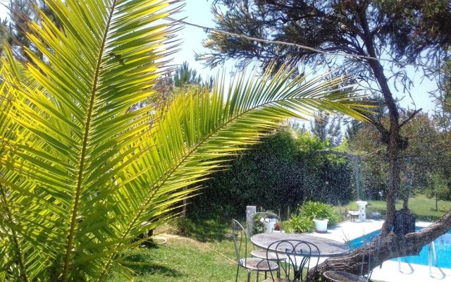 Studio in Nazaré, With Pool Access, Furnished Garden and Wifi - 7 km F