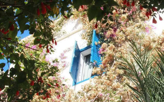 Le vent des Dunes
