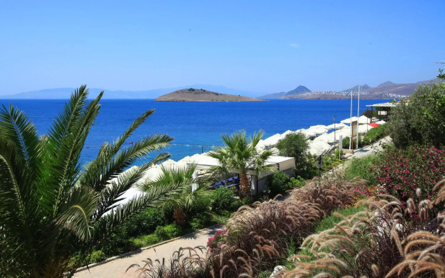Aktur Residence