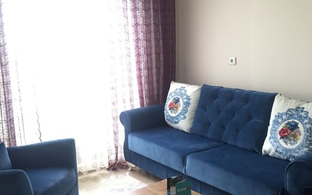 Travel in Home