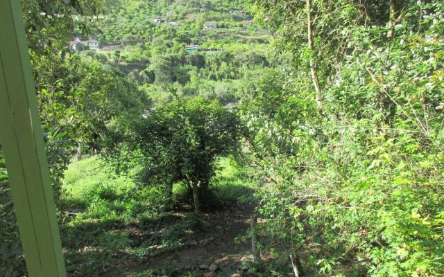 La Casa Verde