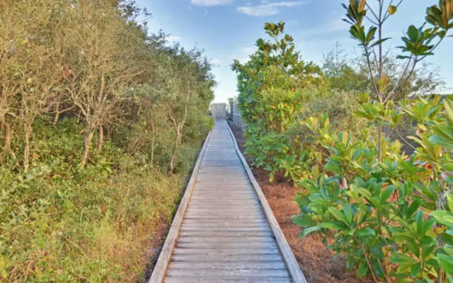 Magnolia Cottages By The Sea- 113 Patina by Florida Star Vacations