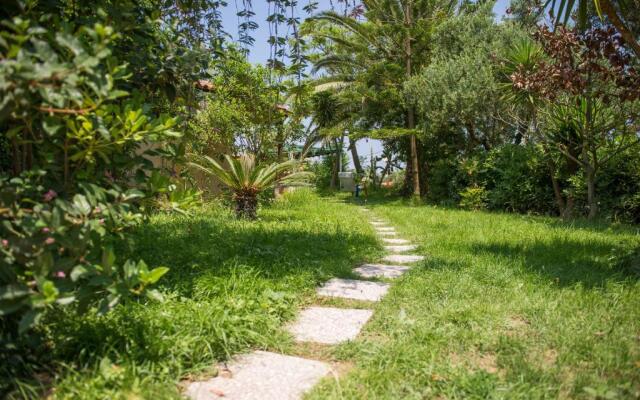 Yiannis Studios