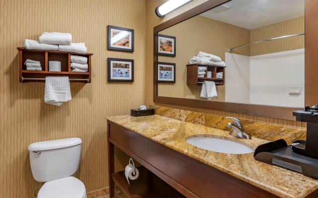 Comfort Inn Wings Stadium