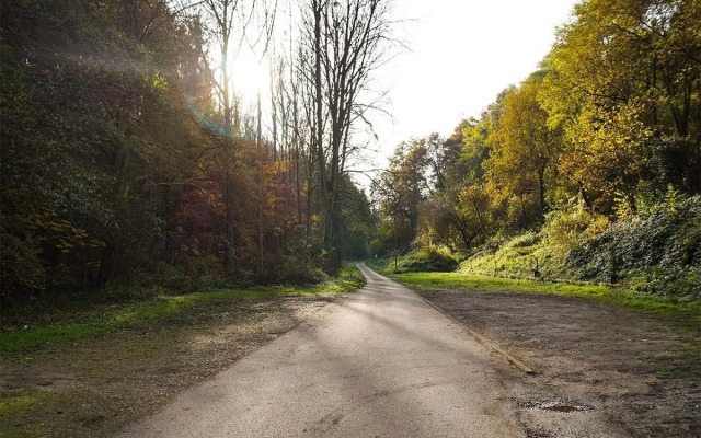 Waldhotel Albachmuehle