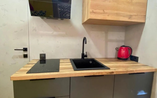 LEOGRAND apartment on Filatova 12