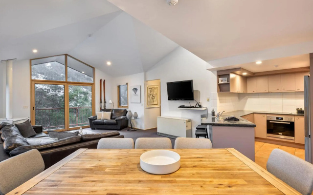 Lhotsky 3 Bedroom and loft with fireplace mountain views and 2 car spaces – Guest Rooms – Thredbo