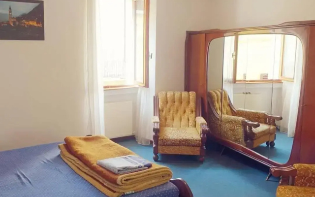 House of cats