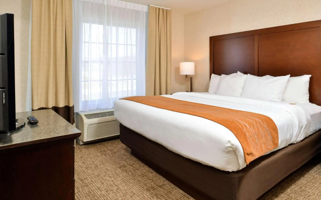 Comfort Inn & Suites Madison North