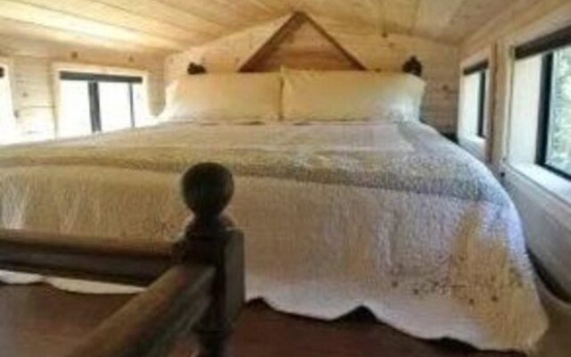 Coral Tree House