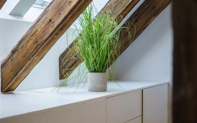 Vienna Living Apartments - Berggasse