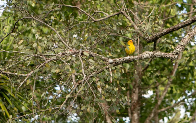 Fazenda Passaredo - Pousada Rural