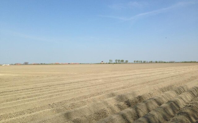 't Moerlogie