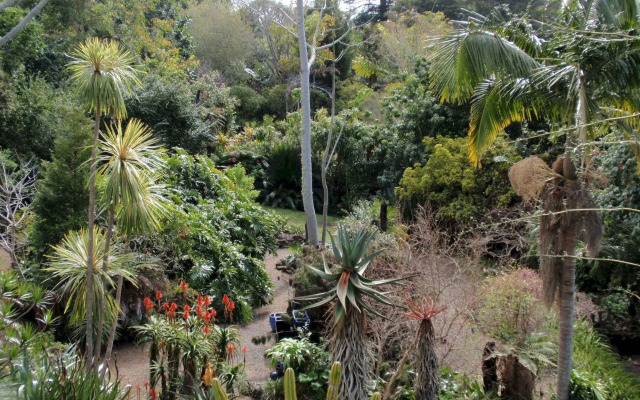 Wharepuke Subtropical Accommodation