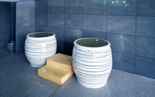 Spa & Hotel Resort Furano La Terre