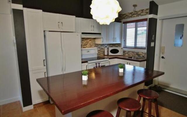 Chalet - 16 Chemin Des Adirondacks