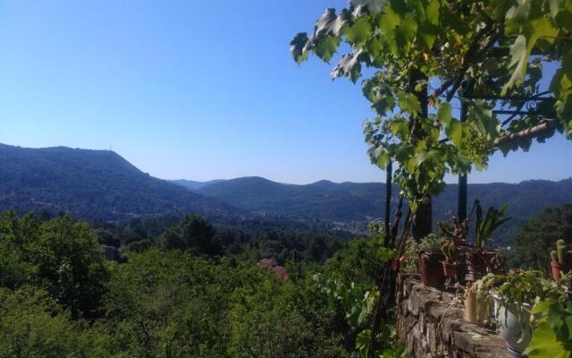Les Jardins d'Arbousse