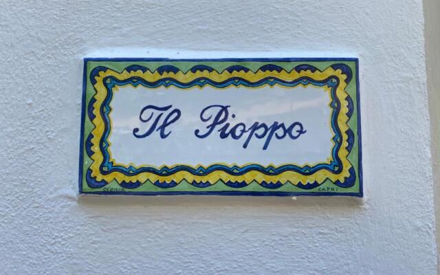 Villa Striano Capri - Guest House - Rooms Garden & Art