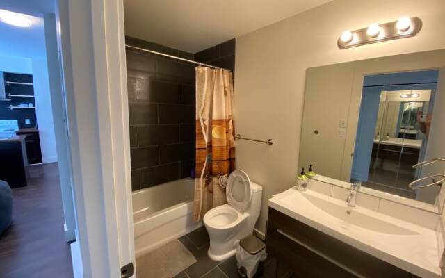 Brand New 1 Br 1 Bath. Close To All. Walkable