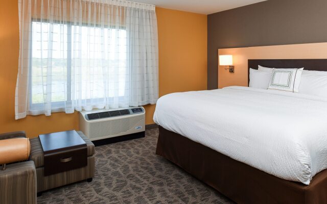 TownePlace Suites Detroit Commerce