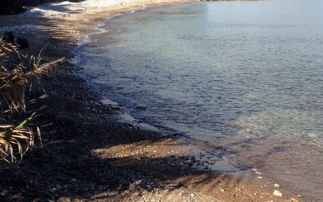 Private Beach Olive Grove and Villa