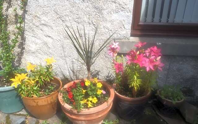 Applegrove B&B