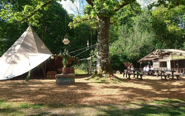 Yurtcamp Devon