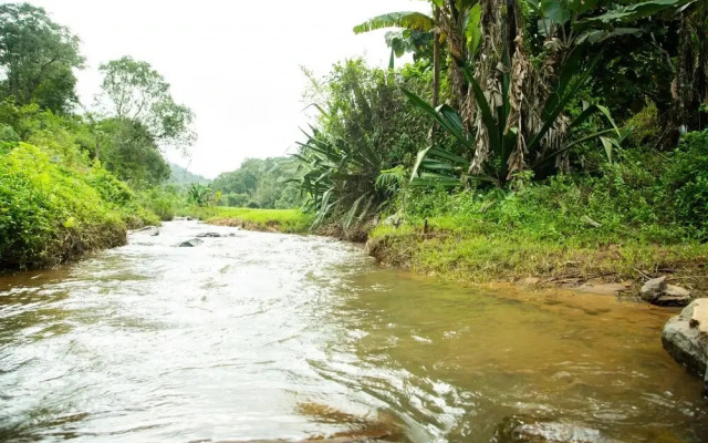 The Nest Bettathur Coorg