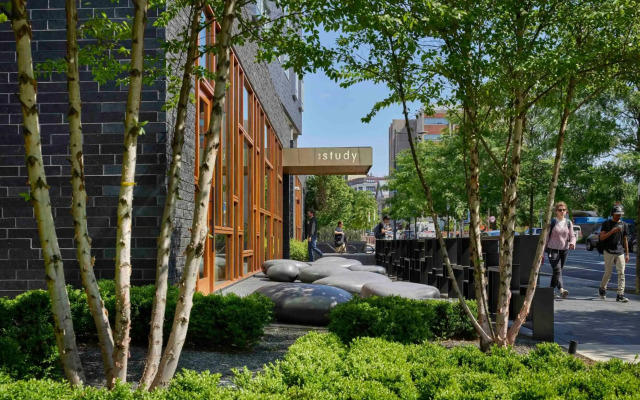 The Study at University City