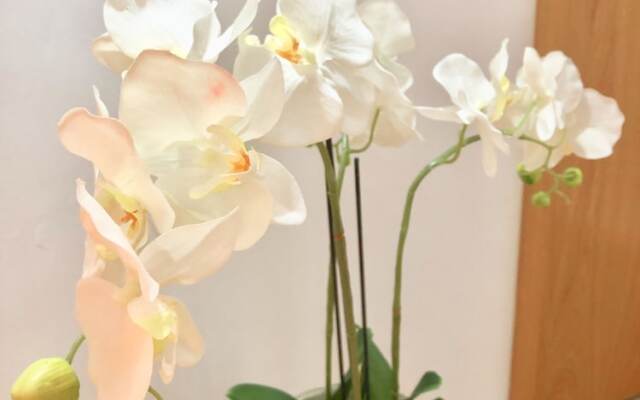 Laurels