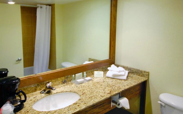 Holiday Inn Fort Myers - Downtown Area by IHG