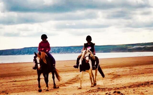 The Tack Room Ruston