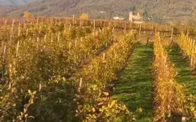 Acero Rosso B&B