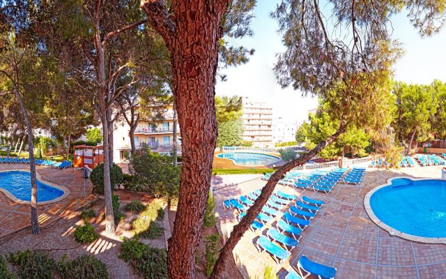 Курортный отель MLL Palma Bay Club