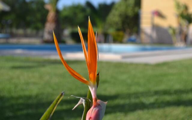 Villa Adriana B&B