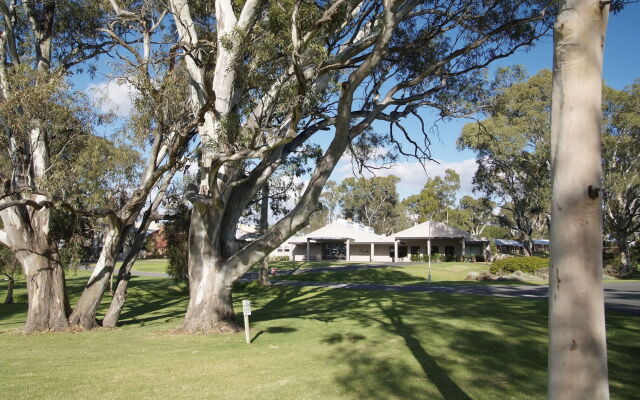 Serafino McLaren Vale