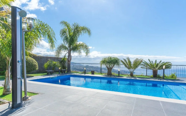 Palm Paradise by Atlantic Holiday